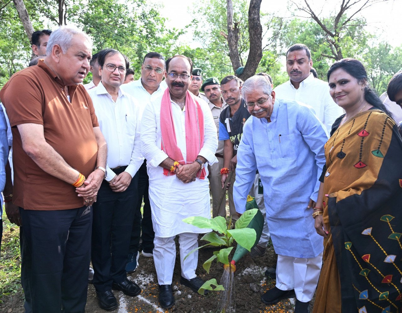 'One tree in the name of mother' campaign received widespread support during Van Mahotsav