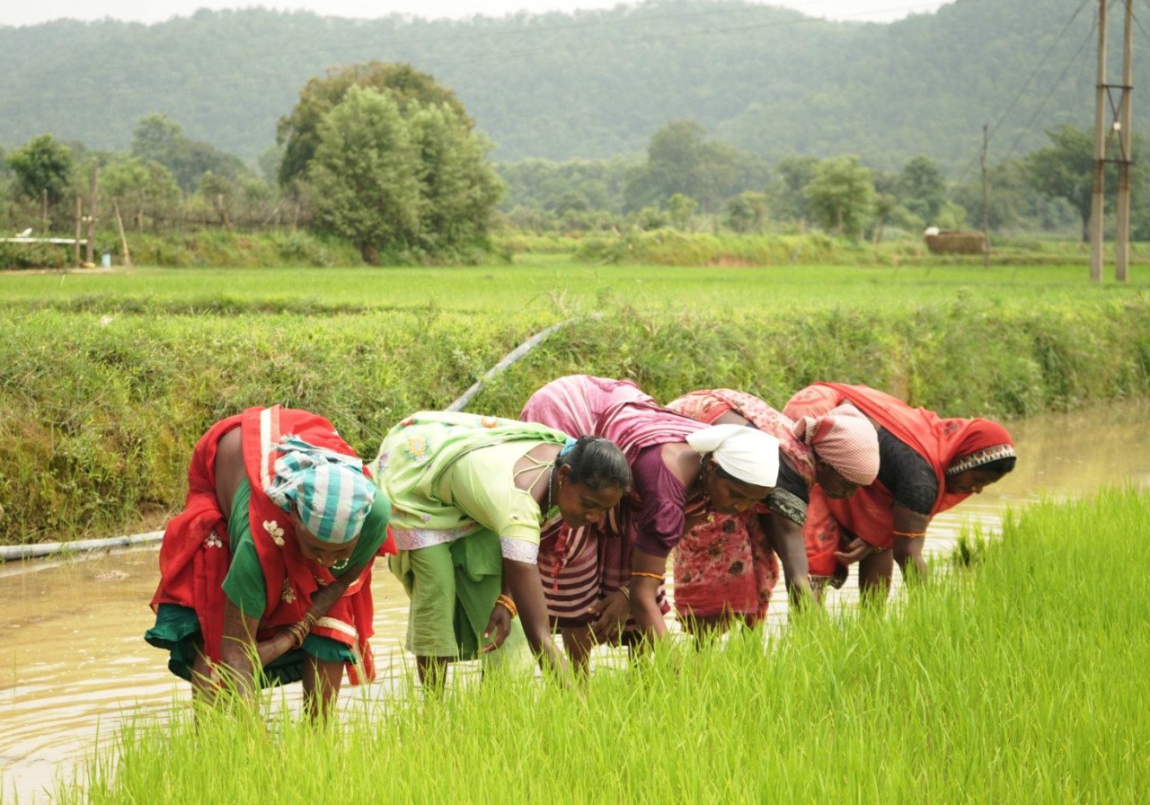 Hopes are waving in the fields of Korba, farmers like Santosh are self-reliant due to government schemes