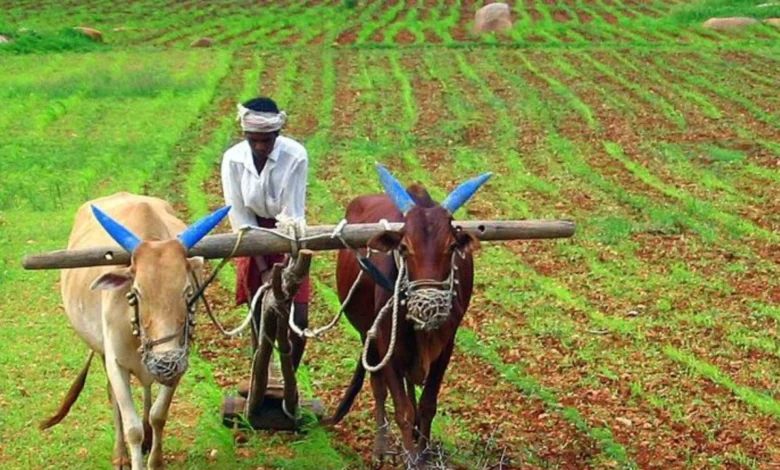 प्रधानमंत्री मोदी की बड़ी पहल: किसानों के लिए डिजिटल क्रांति और फसल बीमा योजना में 3200 करोड़ रुपये का क्लेम ट्रांसफर 1 PM Modi's big initiative: Digital revolution for farmers and claim transfer of Rs 3200 crore in crop insurance scheme