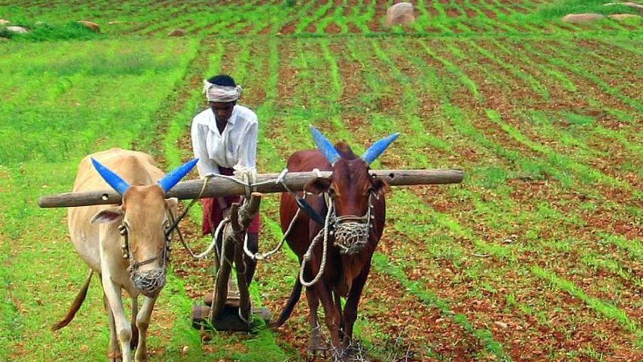 PM Modi's big initiative: Digital revolution for farmers and claim transfer of Rs 3200 crore in crop insurance scheme