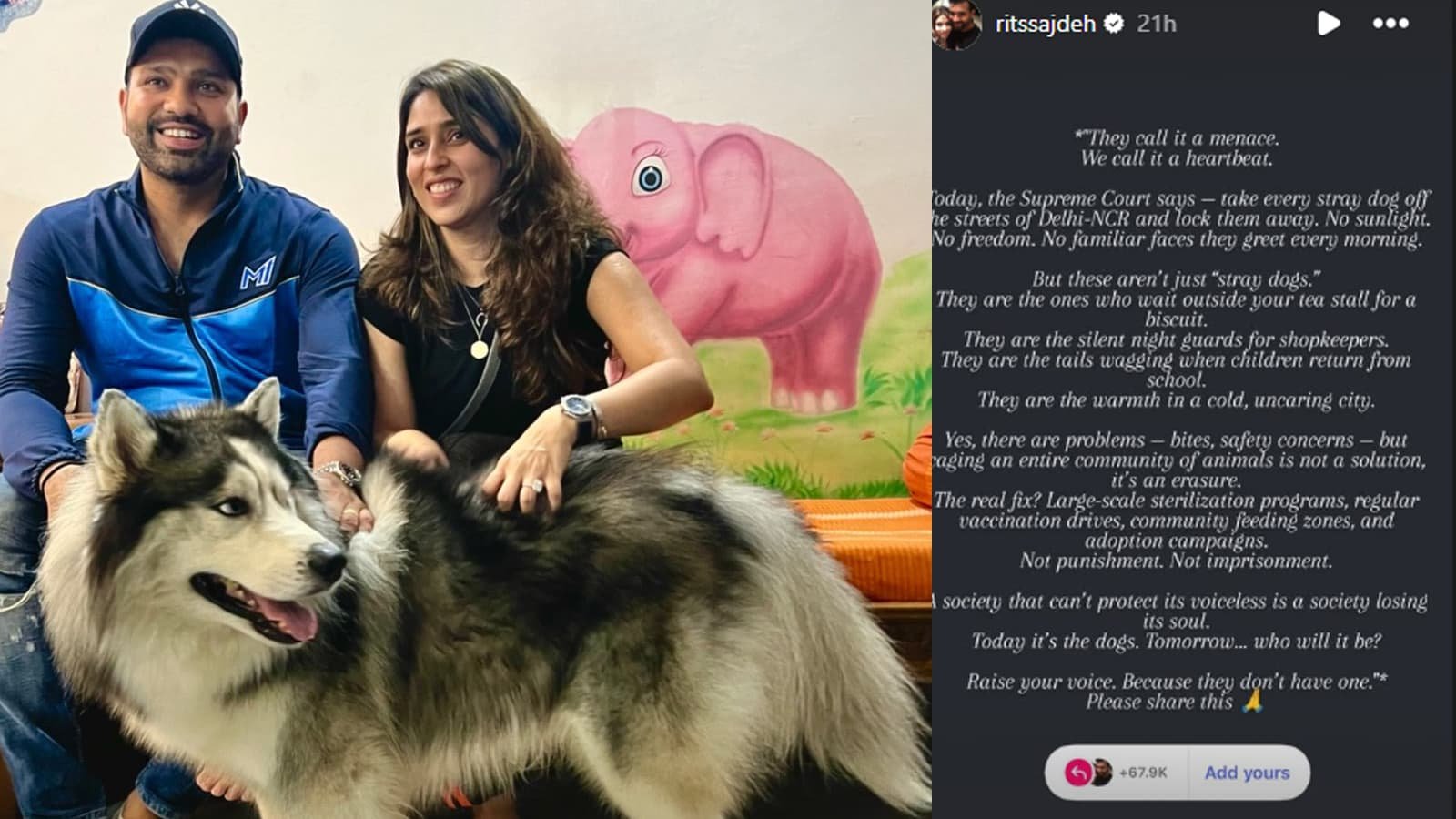 Ritika Sajdeh's anger on Supreme Court's decision: 'Today there are dogs, who will be tomorrow?'
