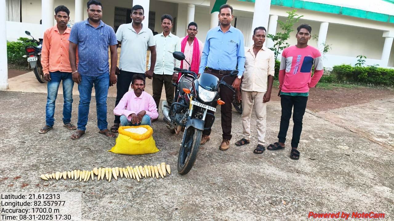 Forest department took strict action against smuggling of bamboo kareel and pika, accused from Girodpuri arrested