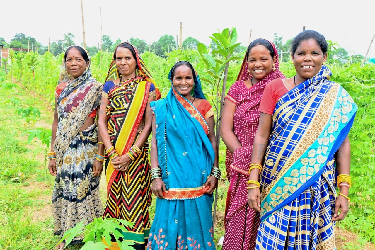 Kamar women of Baldakchar found new flight through Bihan Yojana, did wonders in garden and nursery