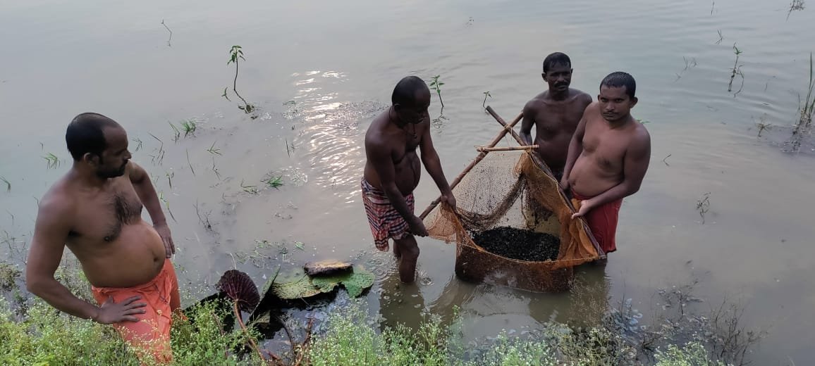 Black diamond makhana became a superfood that changed the fortunes of farmers, women also found a new way to self-reliance