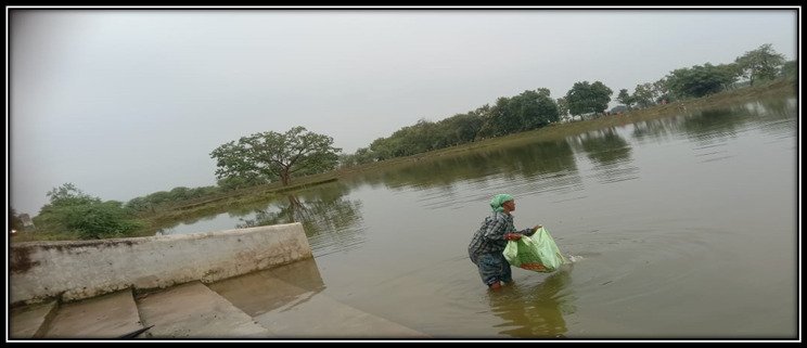 अमृत सरोवर बना आजीविका का सरोवर: मछली पालन से सशक्त हो रहीं बोरिंदा की महिलाएं 1 Amrit Sarovar becomes a lake of livelihood: Borinda women are becoming empowered through fish farming