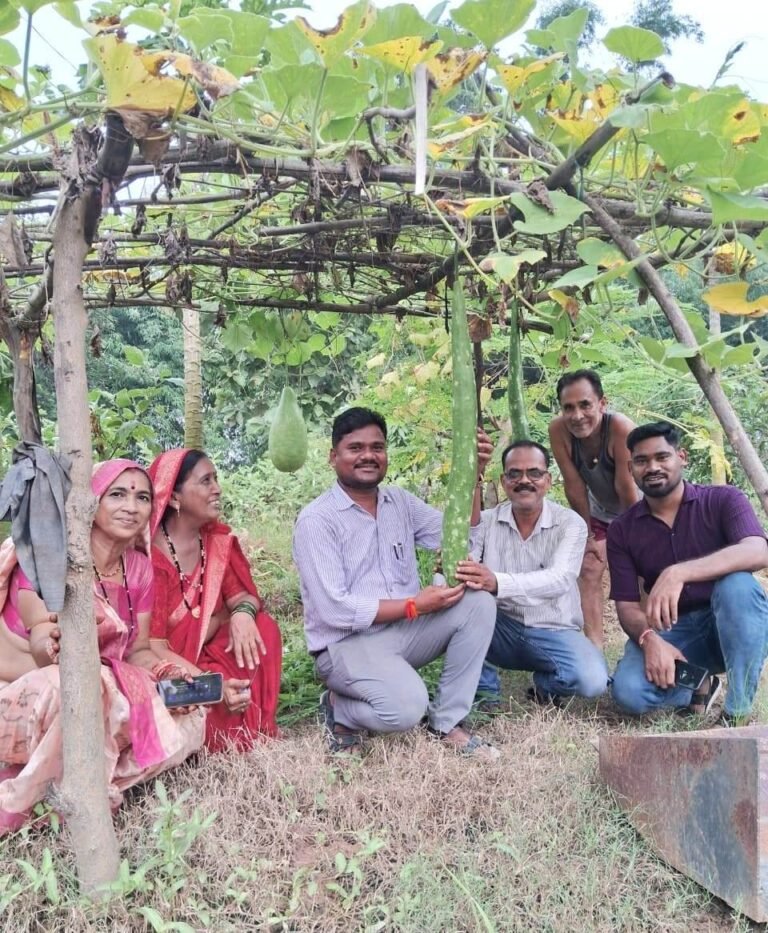Health of the Earth, Income of Farmers – The State is Returning to Organic Farming