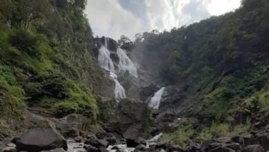 Photo of जशपुर: प्रकृति, संस्कृति और रोमांच का संगम