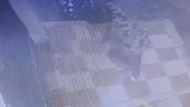 Photo of 3 मिनट में 7 लाख पर हाथ साफ! रायपुर में हाई-प्रोफाइल चोरी, सीसीटीवी में कैद हुई वारदात