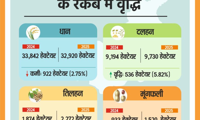 धान का रकबा घटा, दलहन-तिलहन में बढ़त, किसानों का रुझान फसल विविधीकरण की ओर 1 Paddy acreage decreases, pulses and oilseeds increase, farmers turn to crop diversification
