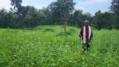 सरकारी योजनाओं और आधुनिक तकनीक से खेती में सफलता की नई कहानी 1 Photo of सरकारी योजनाओं और आधुनिक तकनीक से खेती में सफलता की नई कहानी