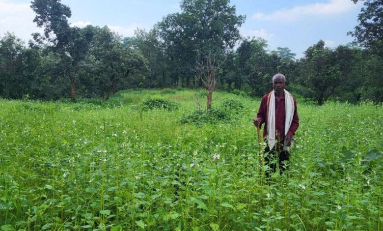 सरकारी योजनाओं और आधुनिक तकनीक से खेती में सफलता की नई कहानी 1 A new success story in agriculture through government schemes and modern technology