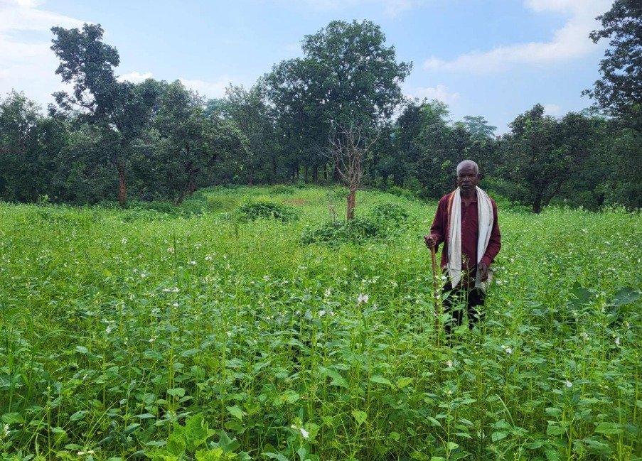 A new success story in agriculture through government schemes and modern technology