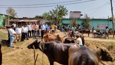 Photo of सेमरा गांव में दो दिवसीय पशु-पक्षी प्रदर्शनी और प्रतियोगिता का आयोजन, किसानों और पशुपालकों के लिए सुनहरा मौका