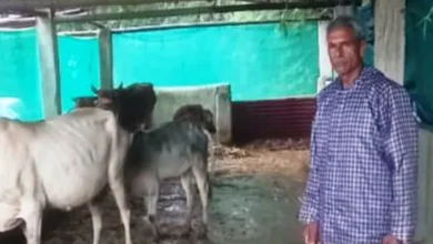 साय सरकार की योजनाओं से रामफल बने आत्मनिर्भर किसान 3 Photo of साय सरकार की योजनाओं से रामफल बने आत्मनिर्भर किसान