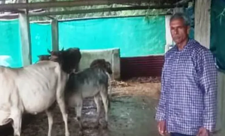 साय सरकार की योजनाओं से रामफल बने आत्मनिर्भर किसान 1 With the help of government schemes, Ramphal became a self-reliant farmer.