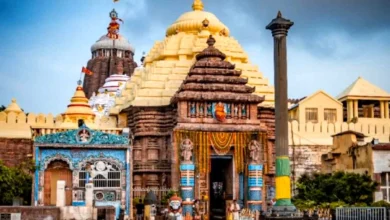 ओडिशा के जगन्नाथ मंदिर में पांड्या चश्में से कर रहा था जासूसी 2 Photo of ओडिशा के जगन्नाथ मंदिर में पांड्या चश्में से कर रहा था जासूसी