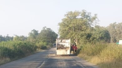 Photo of गौरेला-पेंड्रा-बसंतपुर और गौरेला-वेंकटनगर मार्गों पर तेज़ी से चल रहा पेच रिपेयर कार्य