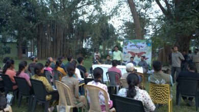 Photo of बारनवापारा में तीन दिवसीय बटरफ्लाई एवं मॉथ सर्वे सम्पन्न, छत्तीसगढ़ी संस्कृति के रंगों से सजी यात्रा