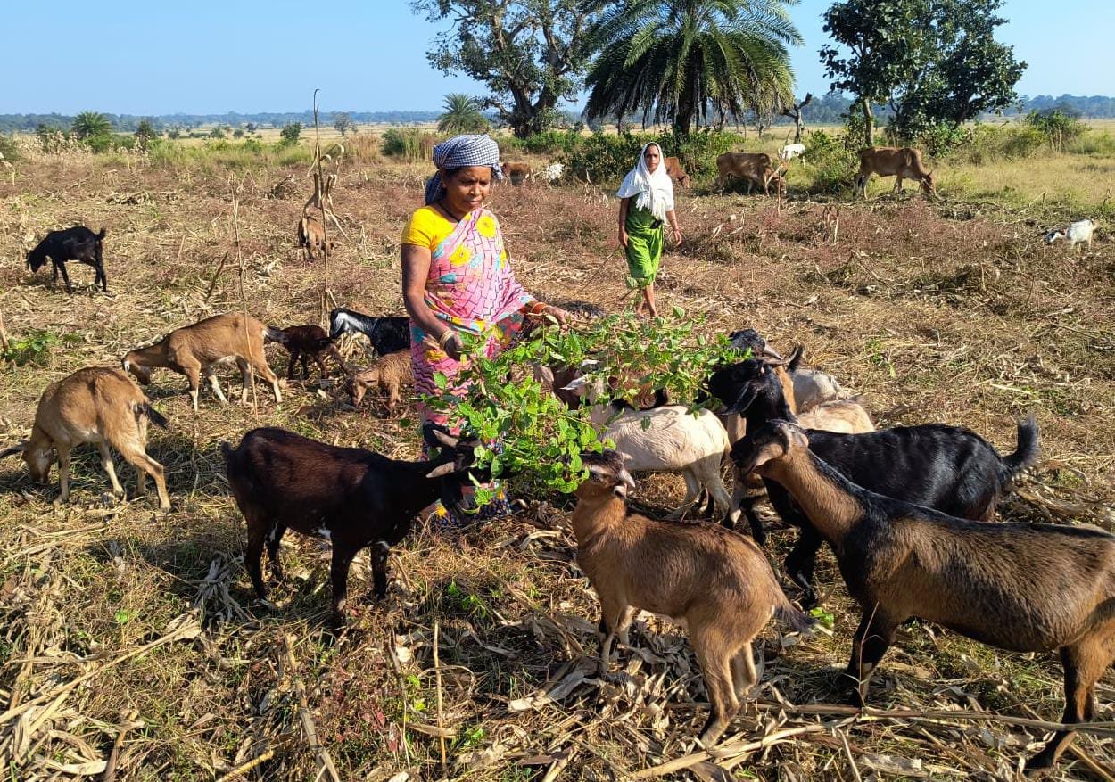 Butki Nag became a self-reliant farmer through the Bihan Yojana, growing the crop of success on the land of Bastar.