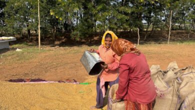 Photo of धमतरी में खरीफ उपार्जन से खुशहाली की लहर, महिलाओं को मिला सम्मानजनक रोजगार और नई पहचान