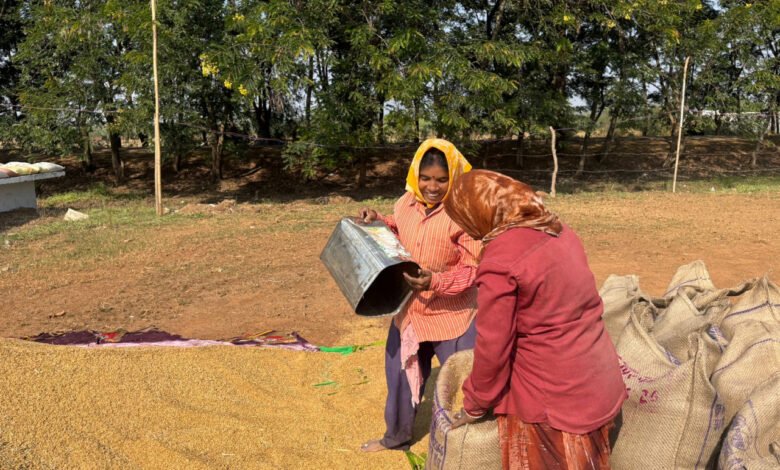 Kharif procurement brings prosperity to Dhamtari, women gain respectable employment and a new identity