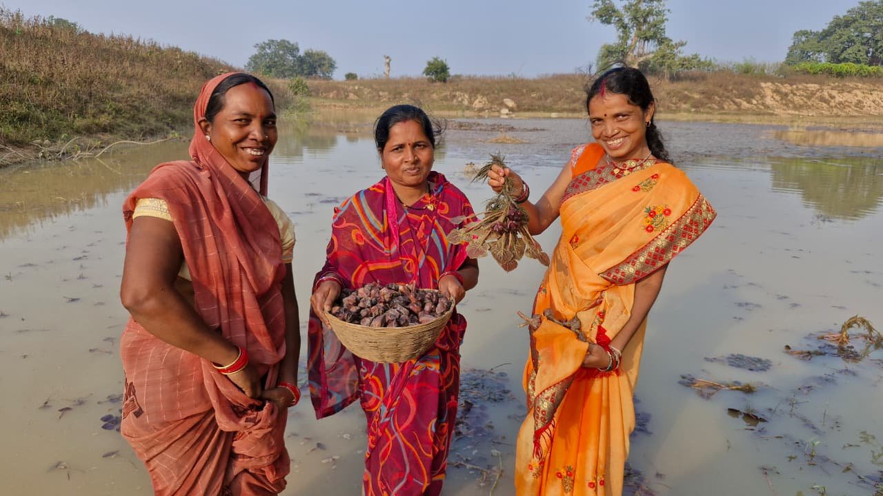 The amazing work of the women of Kotmikala: The pond changed their fortunes, increased their income, and opened the way to self-reliance.