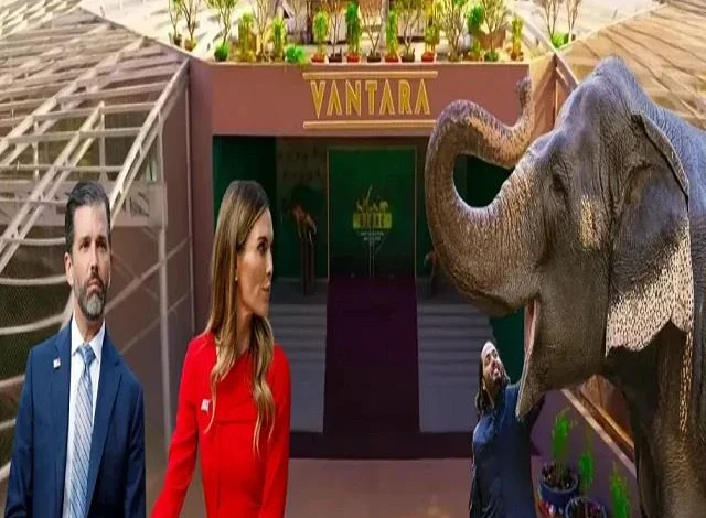 "वन्यजीवों की जिंदगी मुझसे बेहतर!" — वंतारा देखकर ट्रंप जूनियर हुए हैरान 1 "Wildlife has a better life than me!" — Trump Jr. was surprised to see Vantara