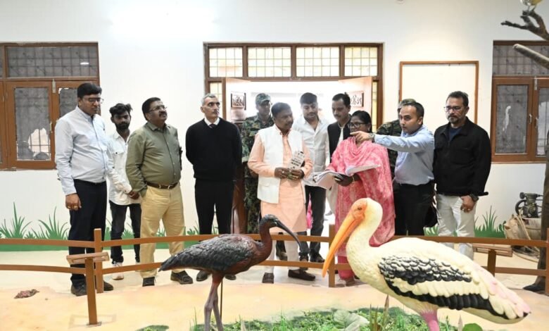 A fair of migratory guests at Gidhva-Parasada Bird Sanctuary, a major focus on wetland development and conservation