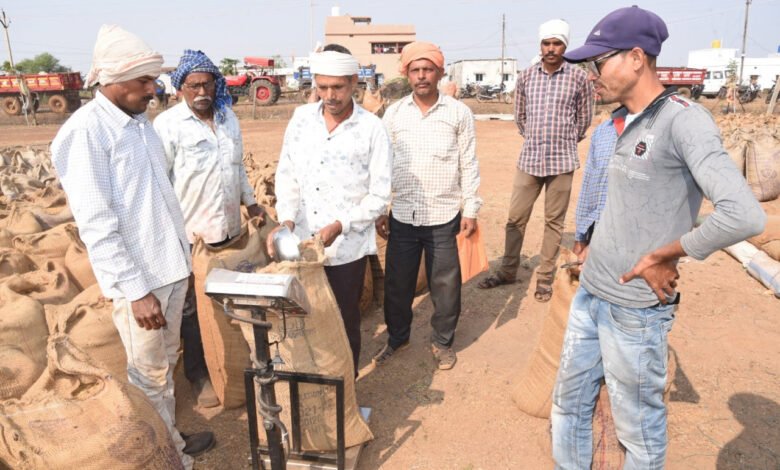 The paddy procurement campaign has become a source of hope for farmers, with the support price bringing smiles to their faces.