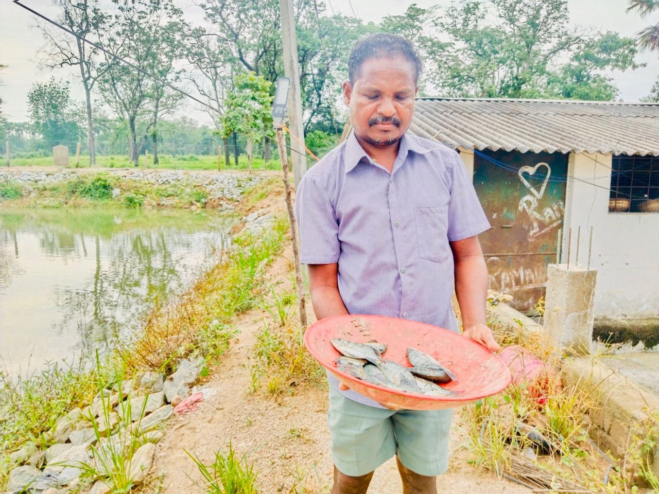 MNREGA's pond becomes a lucky pond: Sukma farmer Hirmaram earns an additional income of Rs 1.10 lakh per year