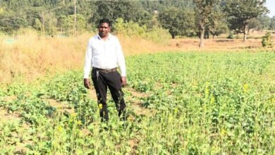Photo of PM धन-धान्य कृषि योजना: जशपुर के किसानों की बढ़ी आय, आधुनिक तकनीक से खेती में नई रफ्तार
