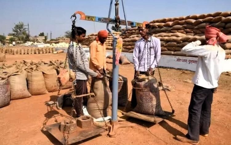 Paddy procurement at support price picks up, farmers' confidence increases