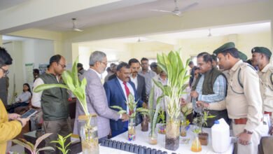 Photo of हाइड्रोपोनिक्स से हरित भविष्य की पहल, वन विकास निगम ने सिखाए मिट्टी रहित पौध उत्पादन के आधुनिक तरीके