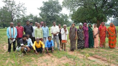 Photo of कम लागत–ज्यादा कमाई: गौरेला-पेंड्रा-मरवाही में लेमनग्रास खेती ने बदली छोटे किसानों की किस्मत