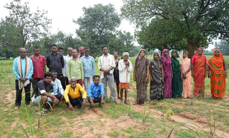 Low cost, high income: Lemongrass cultivation in Gaurela-Pendra-Marwahi has transformed the fortunes of small farmers.