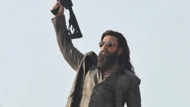 Photo of भारत में रिकॉर्डतोड़, विदेशों में चुनौती—‘धुरंधर’ ने तोड़ा पुष्पा 2 का ताज, मगर ओवरसीज में अभी सफर बाकी