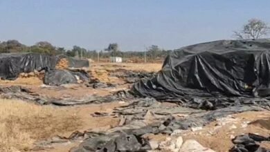 Photo of धान घोटाले पर सियासी संग्राम: चूहे-दीमक से लेकर आरोप-प्रत्यारोप तक गरमाई छत्तीसगढ़ की राजनीति