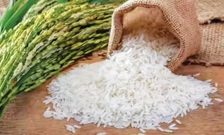 India becomes world's largest rice producer, surpasses China