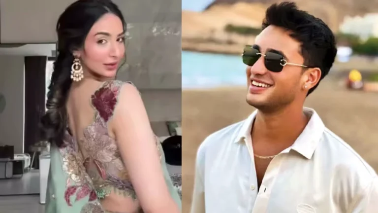After the K-sixes, now it's wedding talk! The full truth behind the Abhishek Sharma-Laila Faisal wedding rumors