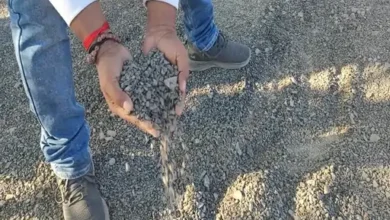 Photo of करोड़ों की सड़क निर्माण में घटिया निर्माण, स्थानीय लोग नाराज