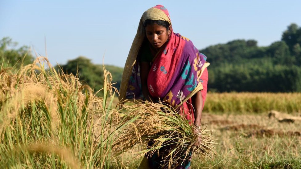 Preparations to launch a big movement in the name of farmers in India