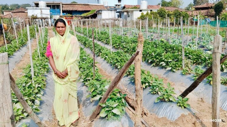 Bihan Yojana changed her fate: Janaki Dhurve became self-reliant through vegetable farming, earning up to 2 lakh rupees annually