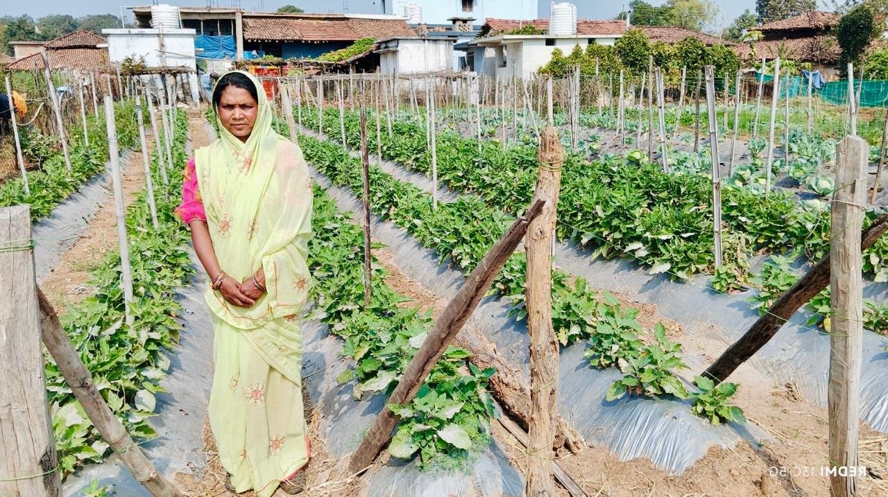 Bihan Yojana changed her fate: Janaki Dhurve became self-reliant through vegetable farming, earning up to 2 lakh rupees annually