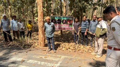 Photo of जंगलों को बचाने की तैयारी तेज: कोंडागांव–फरसगांव में अग्नि सुरक्षा पर बड़ा अभियान