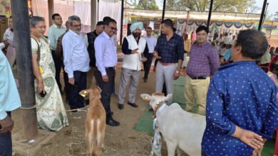 Photo of 09 से 14 फरवरी तक छत्तीसगढ़ में केंद्रीय टीम का दौरा, पशुधन योजनाओं के क्रियान्वयन की सराहना