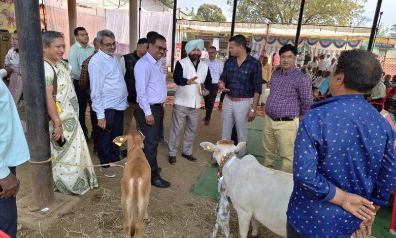 09 से 14 फरवरी तक छत्तीसगढ़ में केंद्रीय टीम का दौरा, पशुधन योजनाओं के क्रियान्वयन की सराहना 1 Central team visits Chhattisgarh from February 9 to 14, appreciates implementation of livestock schemes