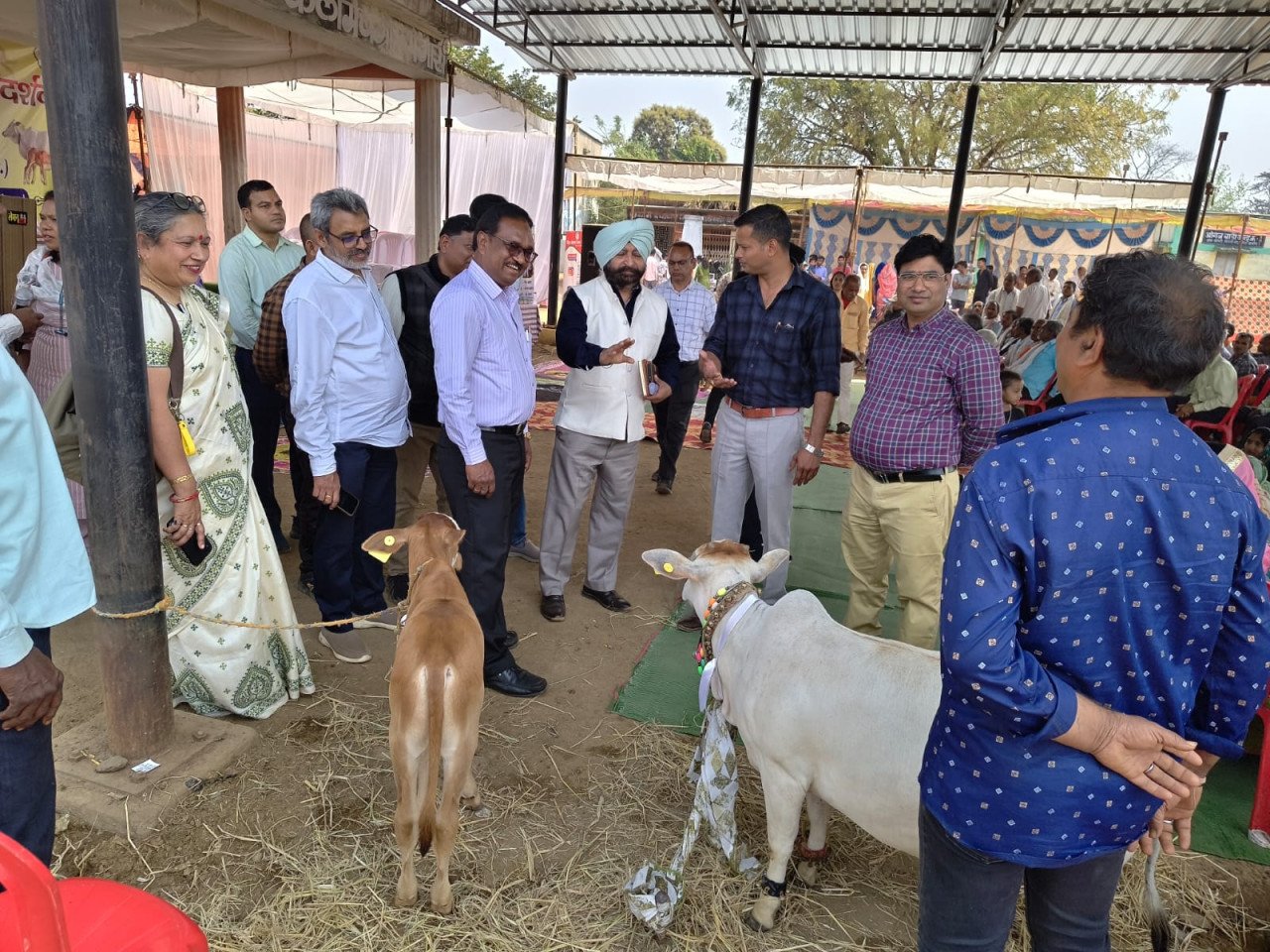 Central team visits Chhattisgarh from February 9 to 14, appreciates implementation of livestock schemes