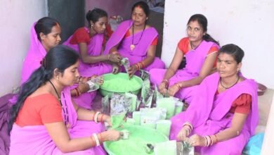 Photo of गरियाबंद की महिलाओं ने बदली होली की तस्वीर, हर्बल गुलाल से आत्मनिर्भरता की नई मिसाल