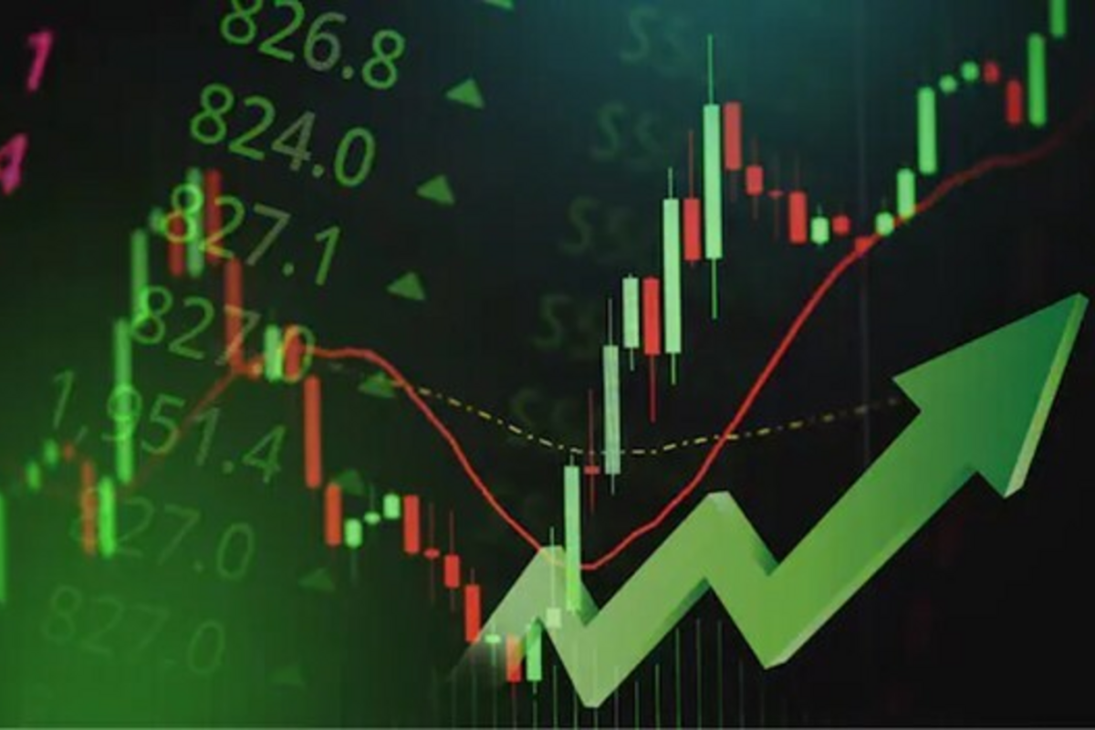 Stock Market Update February 19, 2026: From ZEE to Dr. Reddy's, fluctuations, investors confused
