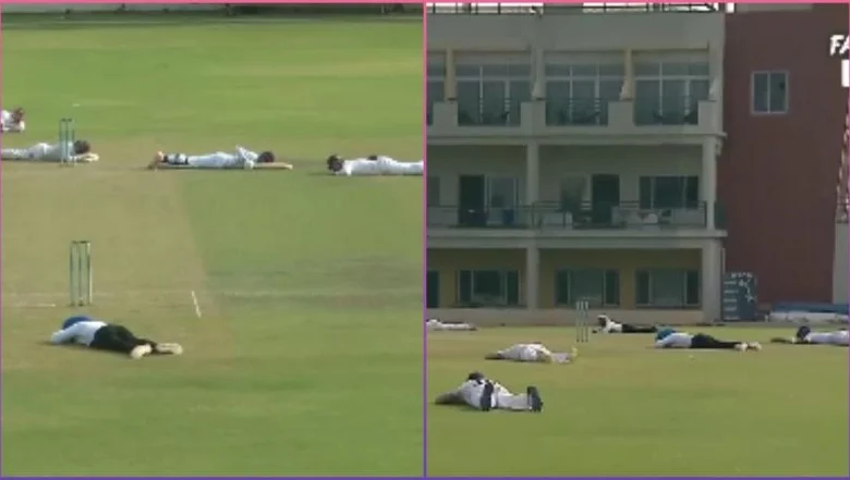 Bee attack in cricket match causes panic: Umpire killed, several players injured